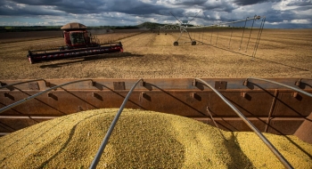 Goiás é o maior gerador de empregos no agronegócio do Centro-Oeste